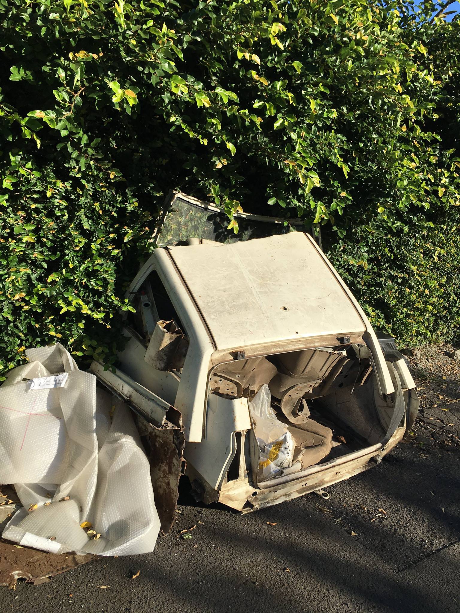 Pirae : des agents recensent les carcasses