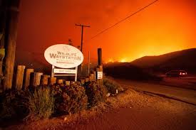 Après un déluge de feu en Californie, une Arche de Noé regagne ses pénates