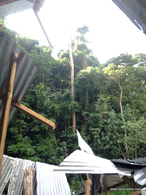 Un vieux tronc d'arbre menace aussi de s'effondrer