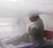 Les ravages de la dengue au Pérou, infections records au Brésil et en Argentine