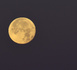 Quelle heure est-il sur la Lune ? Les experts se penchent sur la question