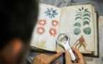 Un manuscrit des plus mystérieux cloné en Espagne
