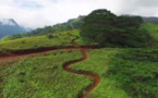 Une descente spectaculaire en VTT filmée par un drone à Punaauia