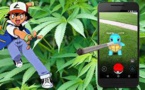 Il joue au Pokemon Go... et tombe sur une plantation de cannabis
