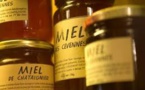 2016, nouvelle année "catastrophique" pour la production de miel, avec 9.000 tonnes (Unaf)