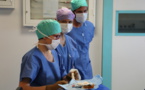 Une start-up bordelaise veut démultiplier la formation entre médecins