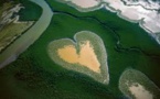 Mission scientifique en Nouvelle-Calédonie pour un inventaire de la biodiversité