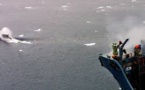 Partisans et adversaires de la chasse à la baleine affichent leur fermeté