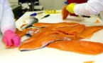 Le saumon frais non bio moins contaminé qu'avant, contrairement au bio (presse)