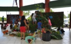 Punaauia : l'opération "mon beau sapin 2016" a démarré