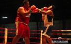 Boxe « Demies Finales – Open » : Les champions Novices n’ont pas tenu la distance