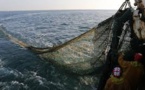 Le Parlement européen entérine les restrictions pour la pêche en eaux profondes