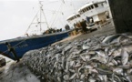 especter l'accord de Paris permettrait d'épargner la pêche mondiale