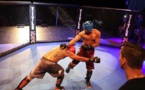 L'arrêté interdisant le MMA en France attaqué devant le Conseil d'Etat