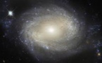 De petites galaxies pour comprendre les grandes