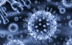 11.400 décès en excès, toutes causes confondues, sur les six premières semaines d'épidémie de grippe