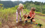 Les Rando Nettoyeurs plantent frangipaniers et arbres fruitiers à l'Aorai