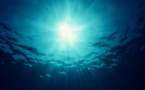 Des traces de pollution chimique au fond des abysses
