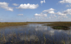 En Floride, le marécage des Everglades en péril