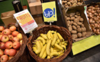 Bio importé: les producteurs antillais de bananes engrangent des soutiens
