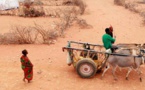 Choléra/diarrhée: une épidémie fait plus de 500 morts depuis janvier en Somalie