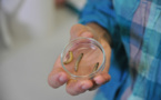 Une larve dévoreuse de plastique, nouvel espoir pour l'environnement