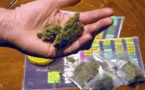 Les contraventions pour usage de cannabis instaurées d'ici la fin de l'année