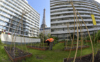 L'hydroponie verticale, pour amener les potagers dans les villes