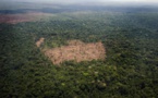 Brésil: la forêt amazonienne pourrait perdre son plus généreux protecteur