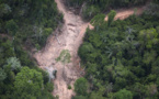La déforestation en Colombie a augmenté de 44% en 2016