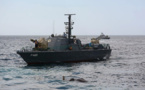 Le Sri Lanka sauve un éléphant en pleine mer