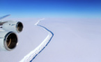 En Antarctique, formation d'un des plus gros icebergs jamais vus