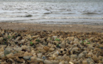 Des milliards de tonnes de plastiques s'accumulent dans la nature