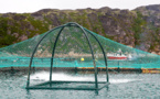 Les océans pourraient accueillir des millions de km2 d'aquaculture