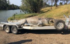 Chasse à l'homme en Australie après la mort d'un crocodile