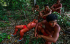 Amazonie: les tribus aiguisent leurs flèches contre les envahisseurs