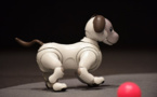 Sony dévoile la nouvelle version de son chien robot Aibo