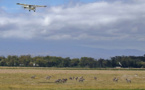 Onze morts dans l'accident d'un avion en Tanzanie