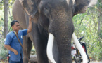 Thaïlande: un éléphant ex-acteur tue son propriétaire