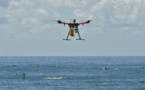 Australie: des drones surveillent les plages à la recherche de requins