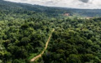 Guyane: Décès d'un militaire en opération contre l'orpaillage