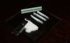 Australie: des routards tombent malades en pensant prendre de la cocaïne