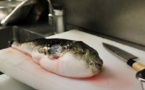 Japon: alerte au fugu, poisson potentiellement mortel