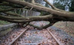 Tempête: 8 morts en Allemagne et un demi-milliard de dommages