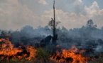 Indonésie: récompense d'un million de dollars pour la protection de l'environnement
