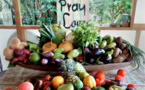 « 34 recettes d’abondance polynésienne » sans poisson ni viande
