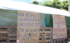 La grève continue à La Dépêche