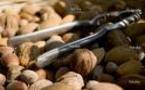 Amandes et noix ou noisettes liées à une amélioration du cholestérol
