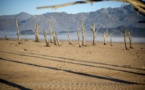 La dégradation des sols cause des migrations massives