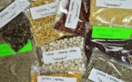 Les Andes, réserve de superaliments menacée par la surproduction